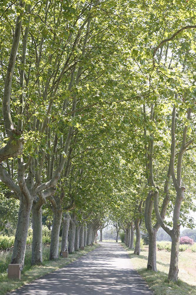 La Motte Chateau Des Demoiselles מראה חיצוני תמונה